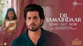 Dil Samjhdaar Lyrics